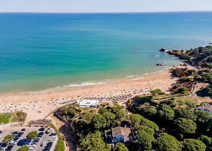 Patio البوفيرا